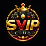 Svip club